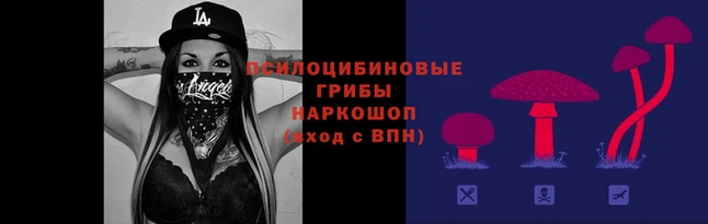гидра Баксан
