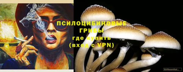 гидра Баксан